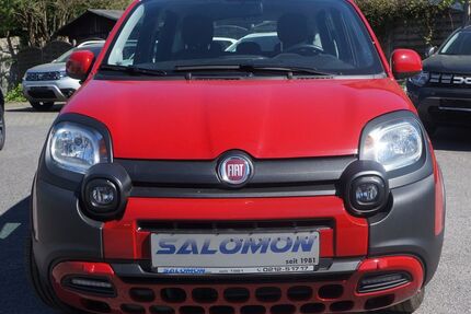 Fiat Panda Gebrauchtwagen