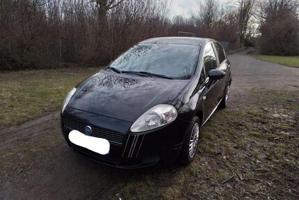 Fiat Punto Gebrauchtwagen