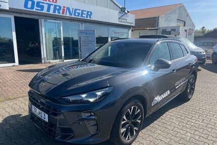 Cupra Terramar Gebrauchtwagen