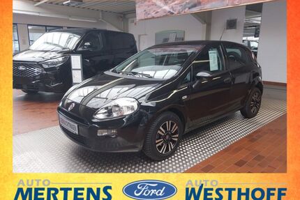 Fiat Punto Gebrauchtwagen