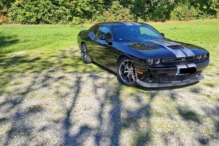 Dodge Challenger Gebrauchtwagen