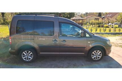 VW Caddy Gebrauchtwagen
