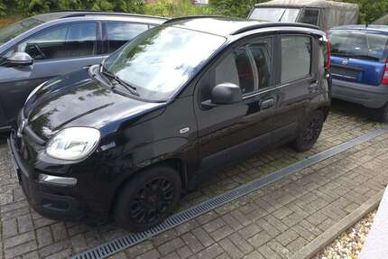 Fiat New Panda Gebrauchtwagen