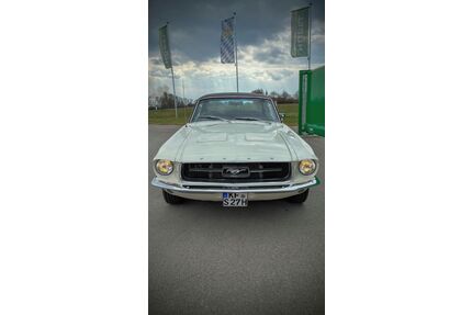 Ford Mustang Gebrauchtwagen