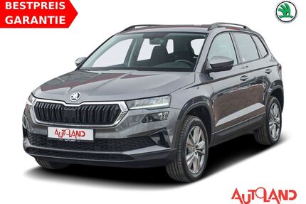 Skoda Karoq Gebrauchtwagen