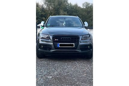 Audi SQ5 Gebrauchtwagen