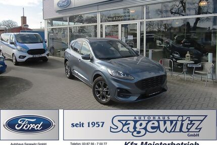 Ford Kuga Gebrauchtwagen