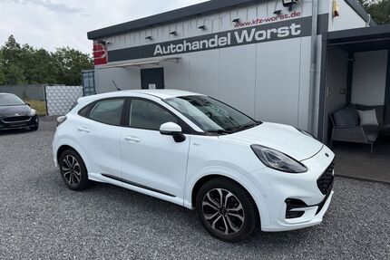 Ford Puma Gebrauchtwagen