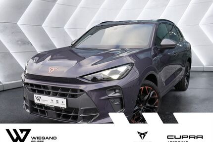 Cupra Terramar Gebrauchtwagen