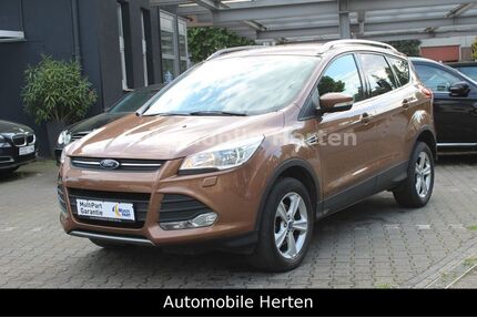 Ford Kuga Gebrauchtwagen