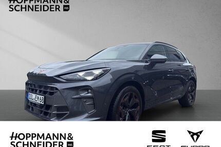 Cupra Terramar Gebrauchtwagen