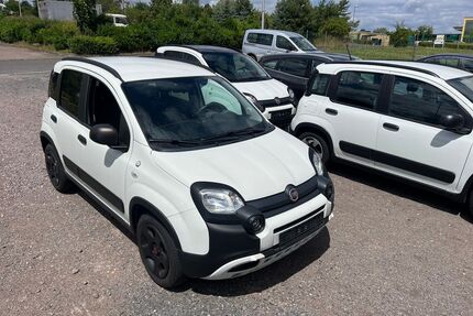 Fiat Panda Gebrauchtwagen