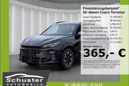 Cupra Terramar Gebrauchtwagen