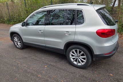 VW Tiguan Gebrauchtwagen