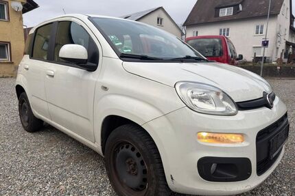 Fiat Panda Gebrauchtwagen