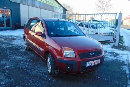 Ford Fusion Gebrauchtwagen