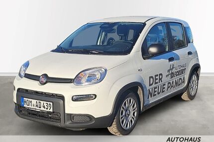 Fiat Panda Gebrauchtwagen