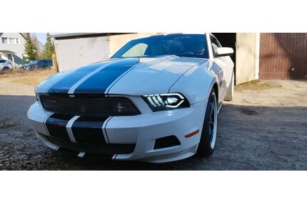 Ford Mustang Gebrauchtwagen