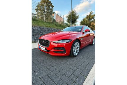 Jaguar XE Gebrauchtwagen