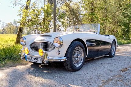 Austin Healey Andere Gebrauchtwagen