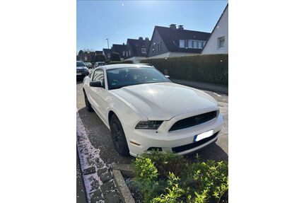 Ford Mustang Gebrauchtwagen