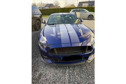 Ford Andere Gebrauchtwagen