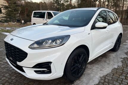 Ford Kuga Gebrauchtwagen