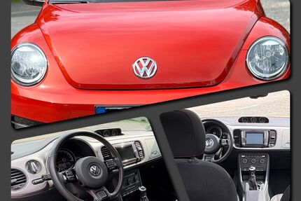 VW Beetle Gebrauchtwagen