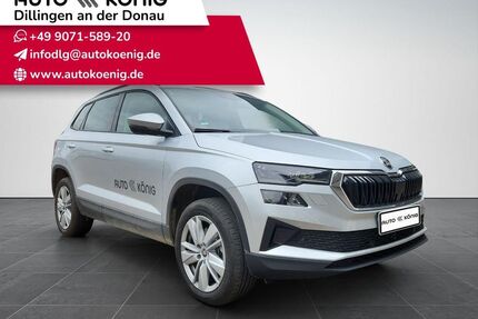 Skoda Karoq Gebrauchtwagen