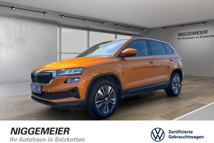 Skoda Karoq Gebrauchtwagen