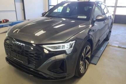 Audi Q8 e-tron Gebrauchtwagen