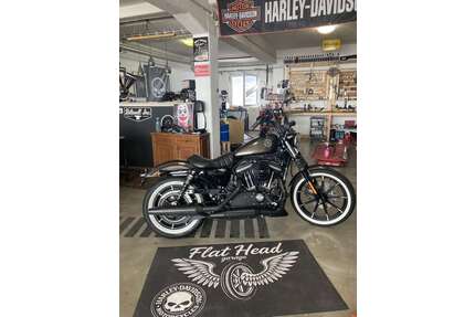 Harley Davidson Sportster Gebrauchtwagen