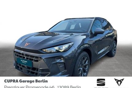 Cupra Terramar Gebrauchtwagen