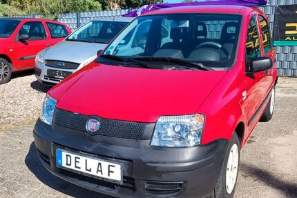 Fiat Panda Gebrauchtwagen