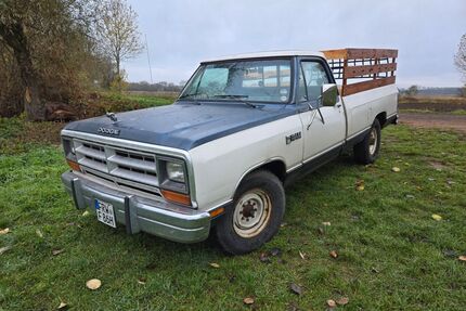 Dodge RAM Gebrauchtwagen