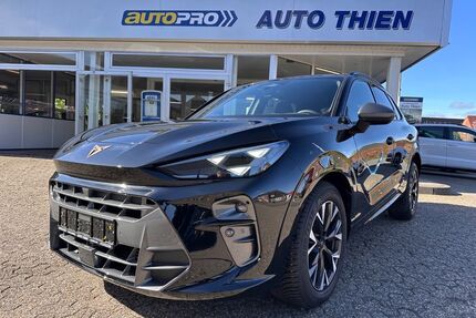 Cupra Terramar Gebrauchtwagen