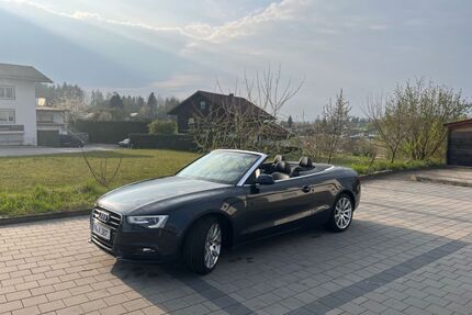 Audi A5 Gebrauchtwagen