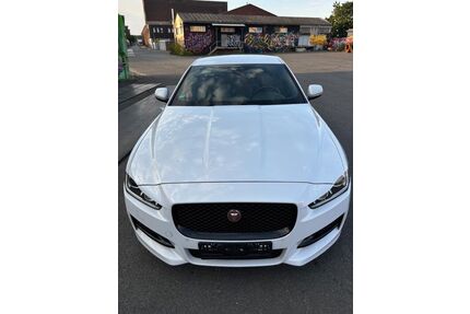 Jaguar XE Gebrauchtwagen