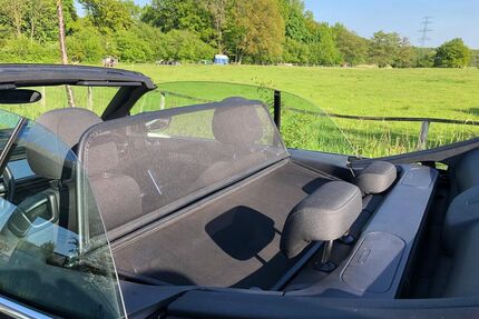 VW Beetle Gebrauchtwagen