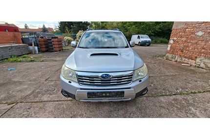 Subaru Forester Gebrauchtwagen