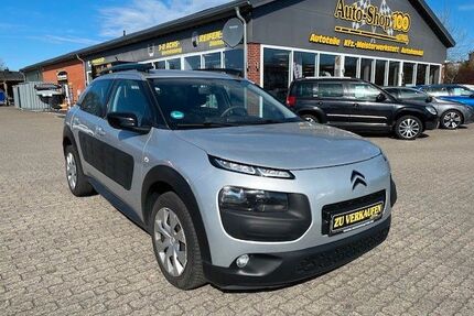 Citroen C4 Cactus Gebrauchtwagen