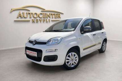 Fiat Panda Gebrauchtwagen