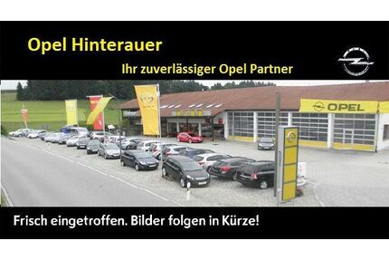 Opel Grandland (X) Gebrauchtwagen