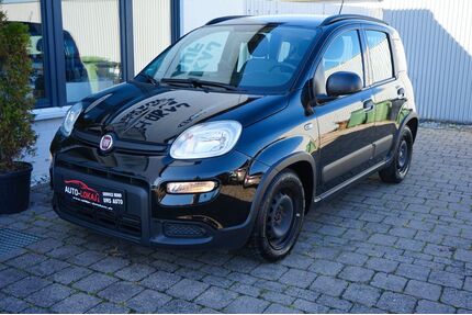 Fiat Panda Gebrauchtwagen