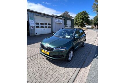 Skoda Karoq Gebrauchtwagen