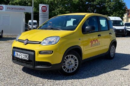 Fiat Panda Gebrauchtwagen