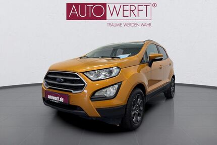 Ford EcoSport Gebrauchtwagen