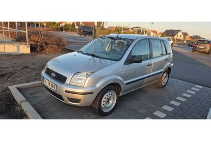 Ford Fusion Gebrauchtwagen