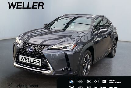 Lexus UX Gebrauchtwagen