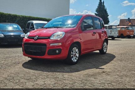 Fiat Panda Gebrauchtwagen